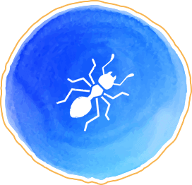 カビ・シロアリ対策